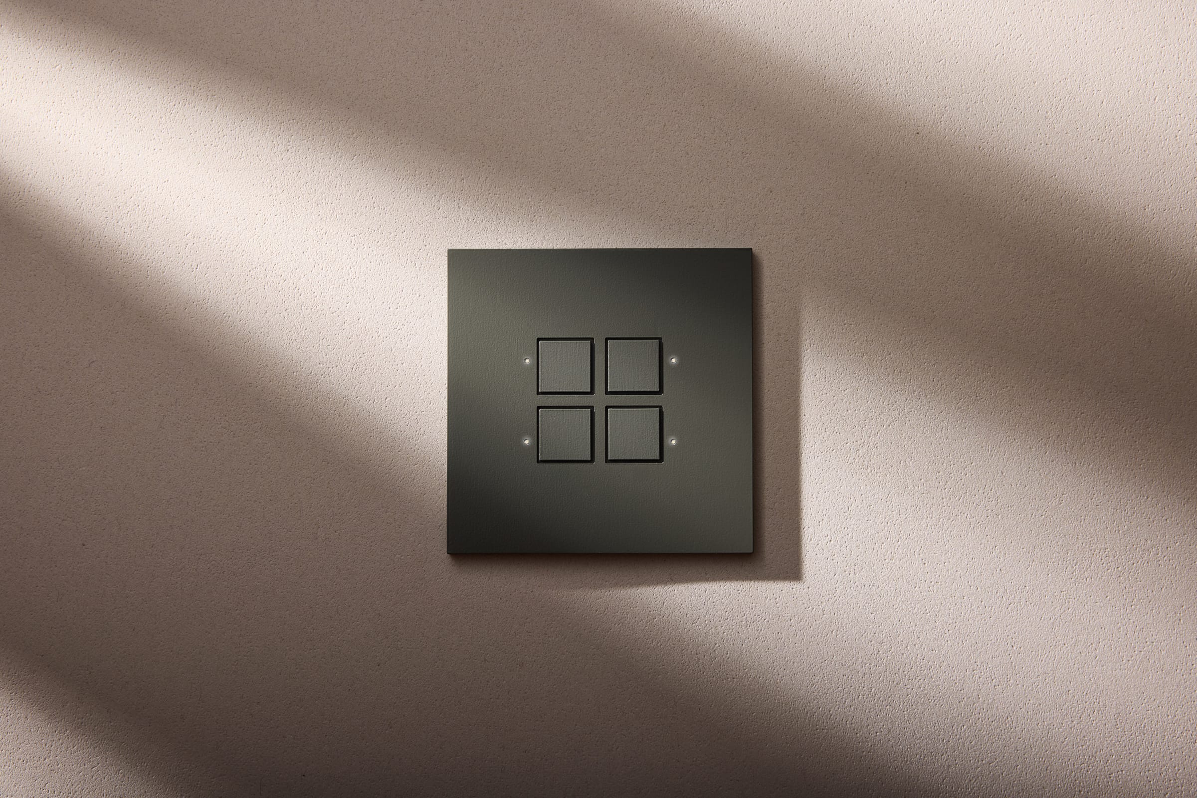 LOLA — image 2